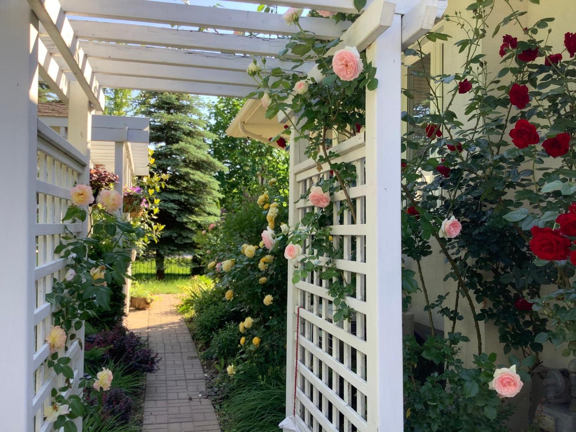 Via Veneto - Old Town Bed and Breakfast Niagara-on-the-Lake Exteriör bild