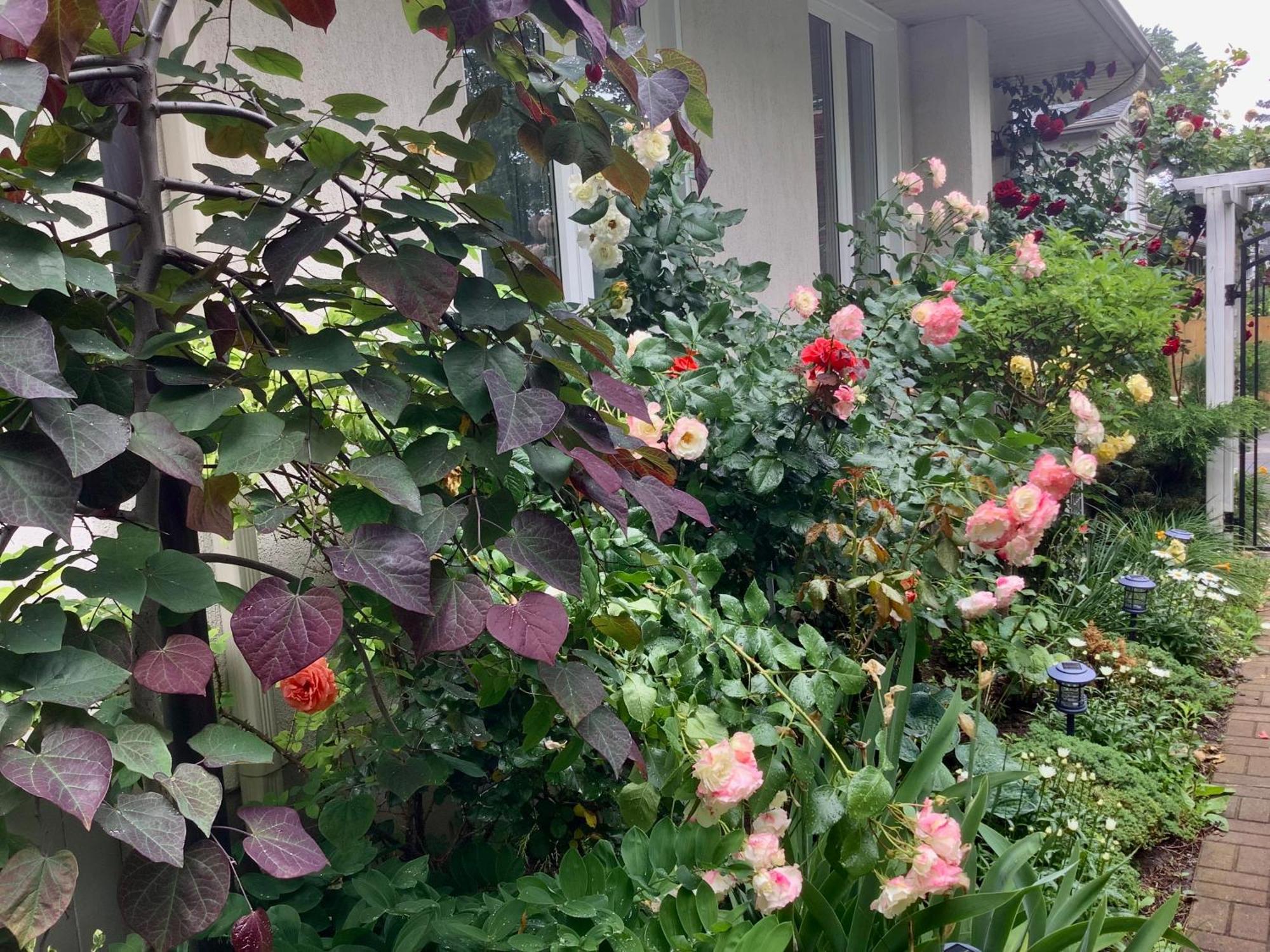 Via Veneto - Old Town Bed and Breakfast Niagara-on-the-Lake Exteriör bild